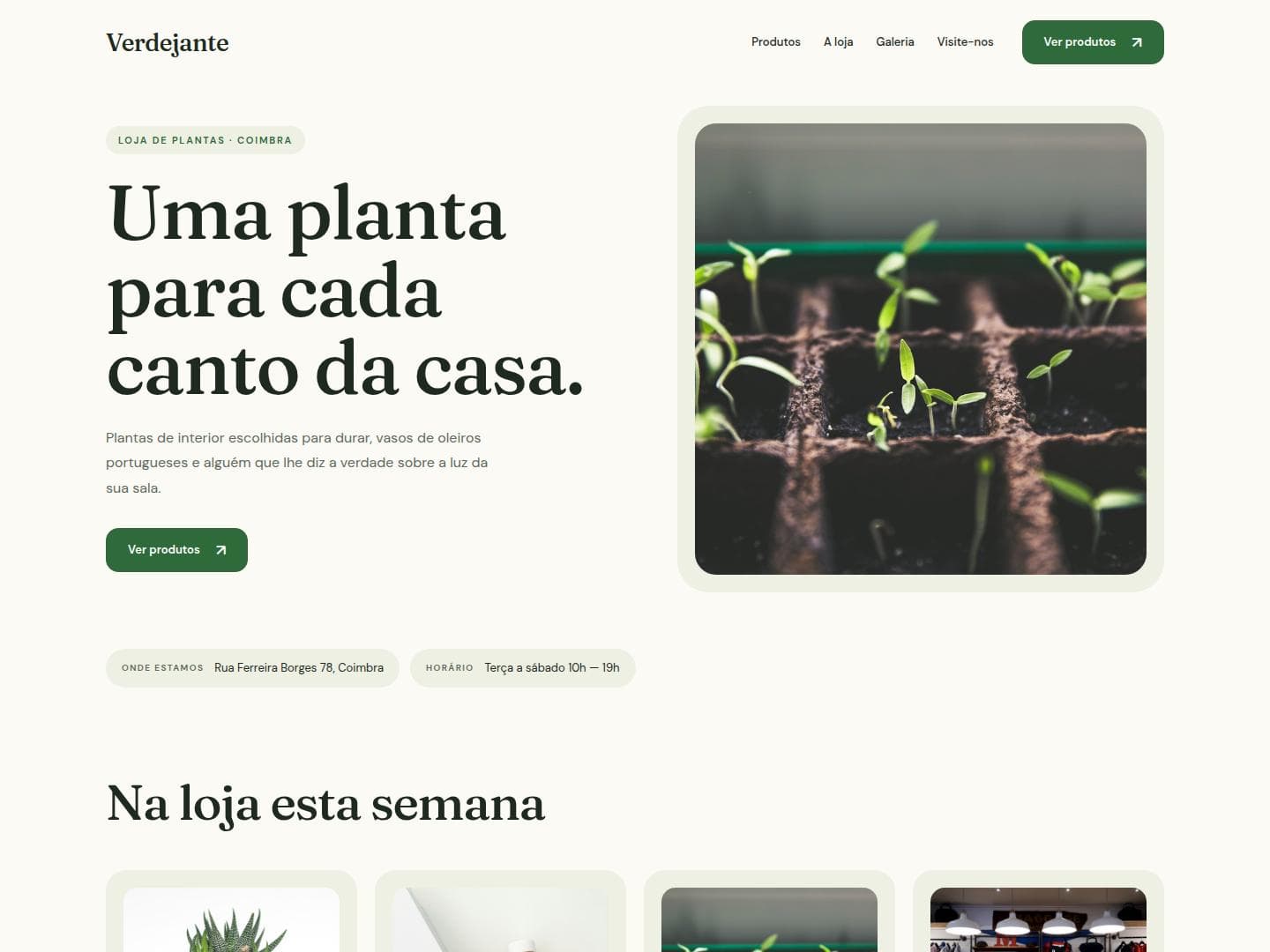 Site de exemplo do modelo Montra